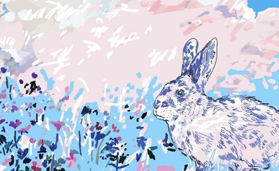 trans_yhteisc3b6teoksen_artikkelikuva_n-570x350-5825150